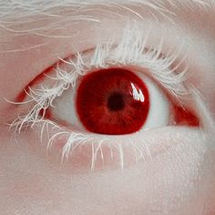 At Hospital, Eyes Artwork, Aesthetic Eyes, 영감을 주는 캐릭터, Anime Eyes, Pretty Eyes, Eye Art, Red Aesthetic, Red Eyes