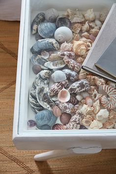 an open book sitting on top of a table filled with shells