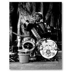 a man playing an accordion in front of a tree