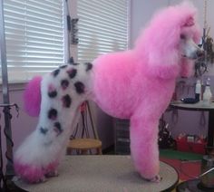 a pink poodle with black spots on it's fur standing on a table