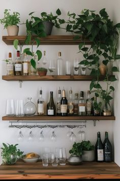 shelves filled with bottles, glasses and plants on top of wooden countertop next to wine glasses