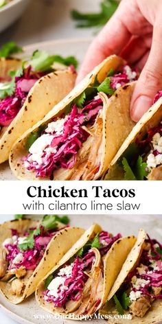 chicken tacos with cilantro and lime slaw on a white platter