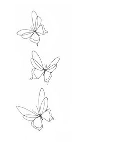 three butterflies flying side by side on a white background