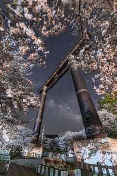 the night sky is shining brightly over cherry blossom trees