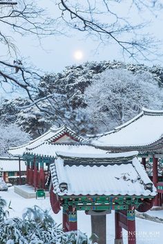 Morning Moon, Winter In Japan, Korean Winter, South Korea Travel, Korea Travel, Seoul Korea