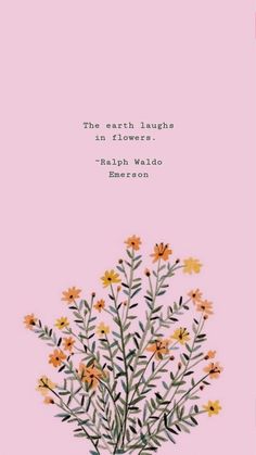 the earth laughs in flowers - ralph waddo emerson quote on pink background with yellow daisies