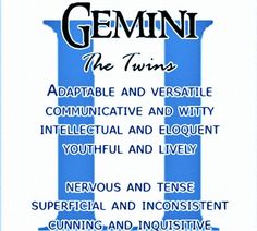 the front cover of gemin the twins