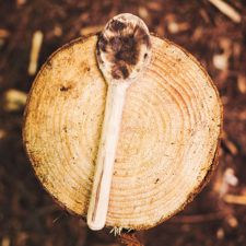 a wooden spoon sitting on top of a piece of wood