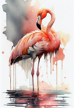 a painting of a flamingo standing in the water