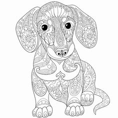 an adult coloring book with a dog in the middle and flowers on it's face