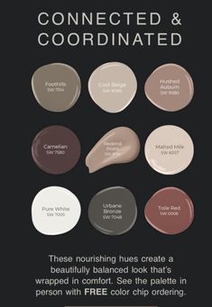 Paint Colors That Go With Rustic Wood, Rustic Chic Color Palette, Signature Wall Design, Brown And Gray Paint Schemes, Rustic Color Palette For Home Interiors, Earthy Paint Color Palette, Boho Home Paint Colors, English Country Paint Palette, Cocoa Paint Colors