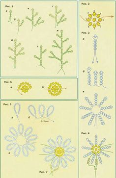 four different types of flowers are shown in the diagram above and below them is an image of