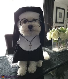 a dog dressed up as a nun in front of a table with flowers and vases