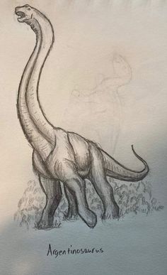 a drawing of an adult dinosaur with its mouth open