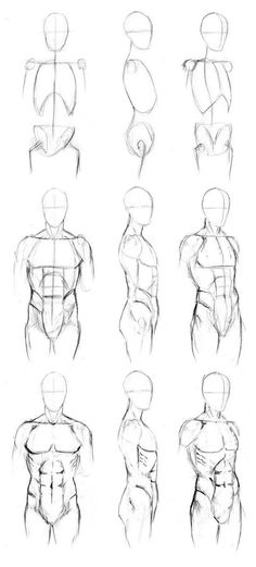 an image of the back view of a man's torso in different positions and directions