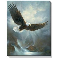 an eagle flying over a waterfall in the sky