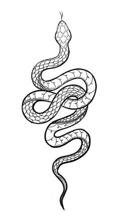 King Cobra Tattoo, Cobra Tattoo, Snake Drawing, Snake Tattoo Design, Tattoo Templates, Tattoo Design Book, Small Tattoos For Guys, Spine Tattoos, Snake Tattoo