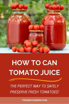 Three jars of homemade tomato juice, with cherry tomatoes on and around the jars. From thisismygarden.com. Tomato Juice From Fresh Tomatoes, Fresh Tomato Juice Recipe, Canning Tomato Juice, Homemade Tomato Juice, Tomato Jelly, Tomato Juice Recipes, Canning Cherry Tomatoes, Canned Tomato Juice