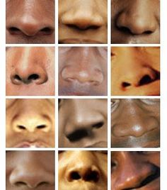 multiple images of different types of nose and mouth shapes, including the upper half of an adult's face