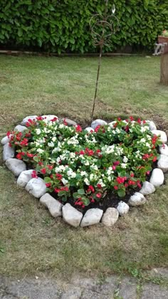 a heart shaped rock garden with flowers in it