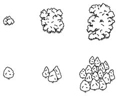 four different types of trees are shown in black and white