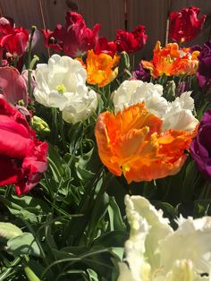 many different colored flowers in a garden