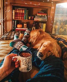 a dog laying on top of a bed next to a person holding a cup