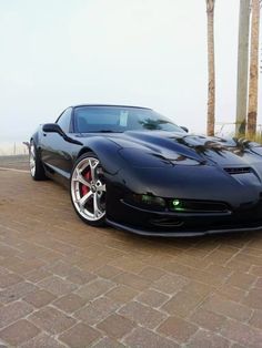 a black sports car parked in front of palm trees on a brick road next to the ocean