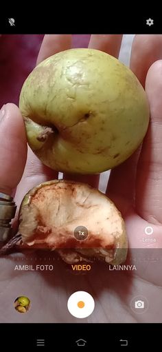 a person holding an apple in their hand with the peel removed from it's core