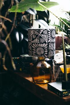 a table topped with a lamp next to a potted plant on top of a wooden table