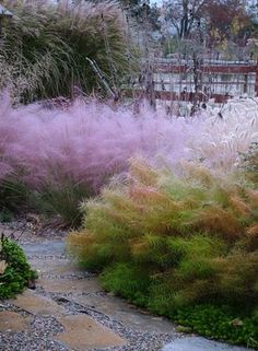 purple and green plants in the middle of a stone path leading to a wooden fence