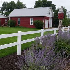 a white picket fence in front of a red house and purple flowers next to it