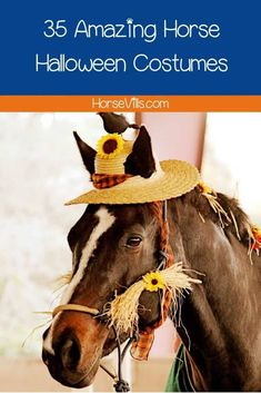 a horse wearing a straw hat with text overlay reading 35 amazing horse halloween costumes