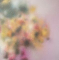 blurry photograph of flowers in vase on window sill with pink and yellow colors