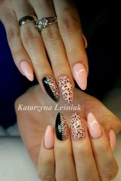 leopard, nails, and stiletto image Cheetah Nails, Nails Stiletto, Indigo Nails, Leopard Print Nails, Leopard Prints, Leopard Nails, Animal Nails, Super Nails, Black Nail