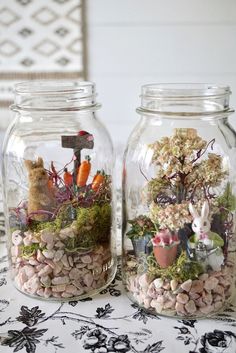 two glass jars filled with plants and rocks