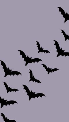 a flock of bats flying in the sky