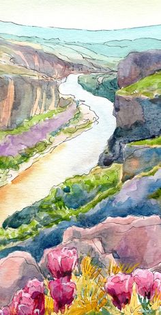 a watercolor painting of pink flowers on the side of a cliff overlooking a river