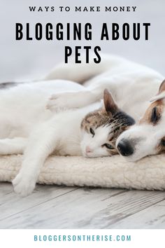 two dogs and a cat laying on top of a blanket with text overlay that reads 5 ways to make money blogging about pets