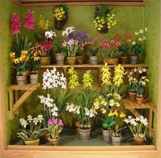 a shelf filled with potted plants and flowers on top of wooden shelves next to a green wall