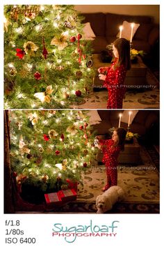 how to photograph your Christmas tree Nikon Tips, Photography Tips Nikon, 80s Photography, Iso Photography, Photography Artistique, Ideas For Photography, Trees Photography, Xmas Photos