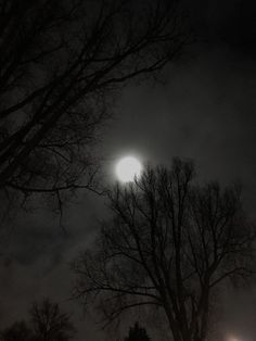 the full moon shines brightly in the dark night sky over trees and street lights