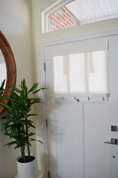 a potted plant sitting next to a white door