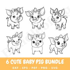 six cute baby pig cliparts in black and white with the text, 6 cute baby