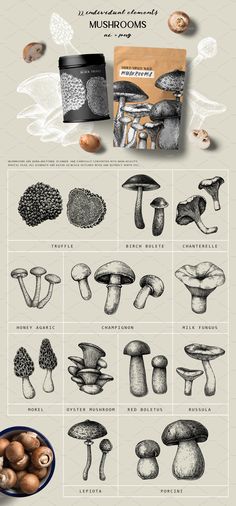 an info sheet with mushrooms and other things to see in the image on this page