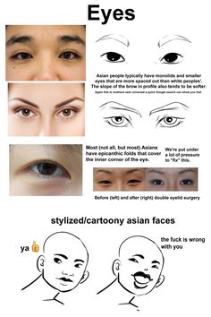 the different types of eyes and how they are used to make them look like they're