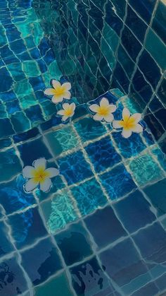 two flowers floating in the middle of a swimming pool with blue and green tiles on it