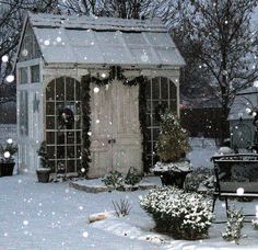 a snow covered yard with a small building and potted plants in the foreground