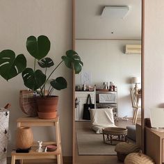 a living room with a mirror and potted plant