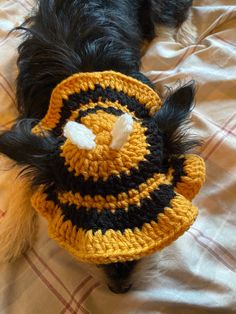 a small black dog wearing a yellow and black crocheted hat on top of a bed